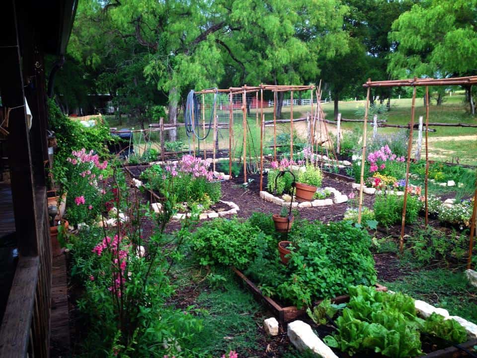 permaculture design austin