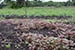 Permaculture Farm Thumbnail
