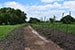 Permaculture Farm Thumbnail