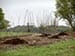 Permaculture Farm Thumbnail