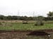 Permaculture Farm Thumbnail