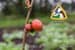 Permaculture Farm Thumbnail