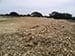 Permaculture Farm Thumbnail