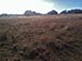 Permaculture Farm Thumbnail