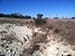 Permaculture Farm Thumbnail