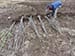 Permaculture Farm Thumbnail