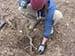 Permaculture Farm Thumbnail