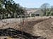 Permaculture Farm Thumbnail