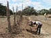 Permaculture Farm Thumbnail
