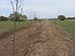 Permaculture Farm Thumbnail