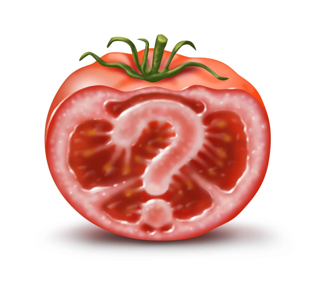 GMO Tomato