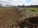 Mulch Berm and Swale