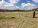 Permaculture Irrigation