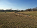 Berms and Swales