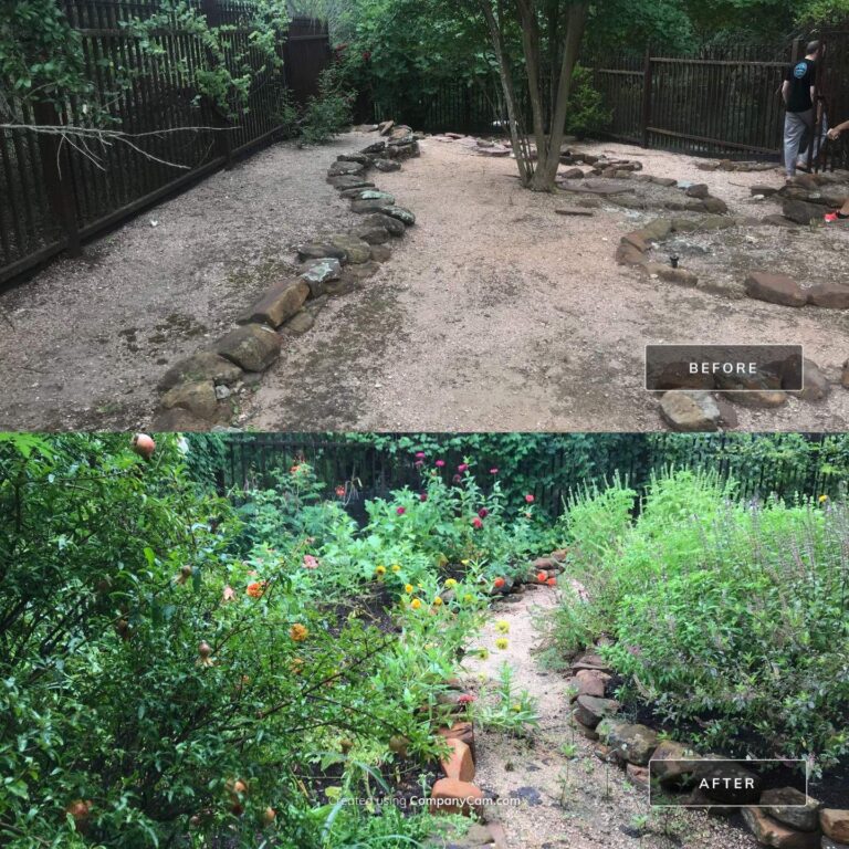 A texas permaculture garden transformation!