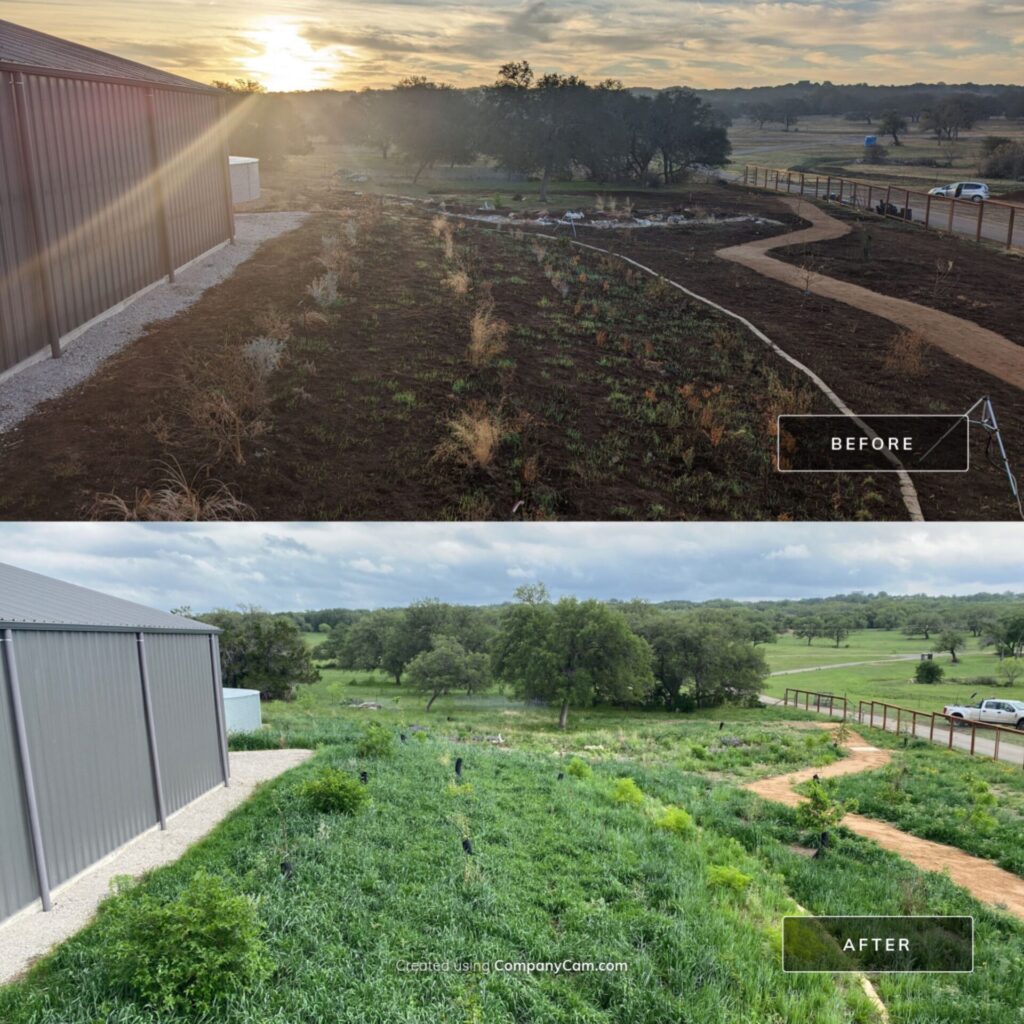 permaculture in central texas