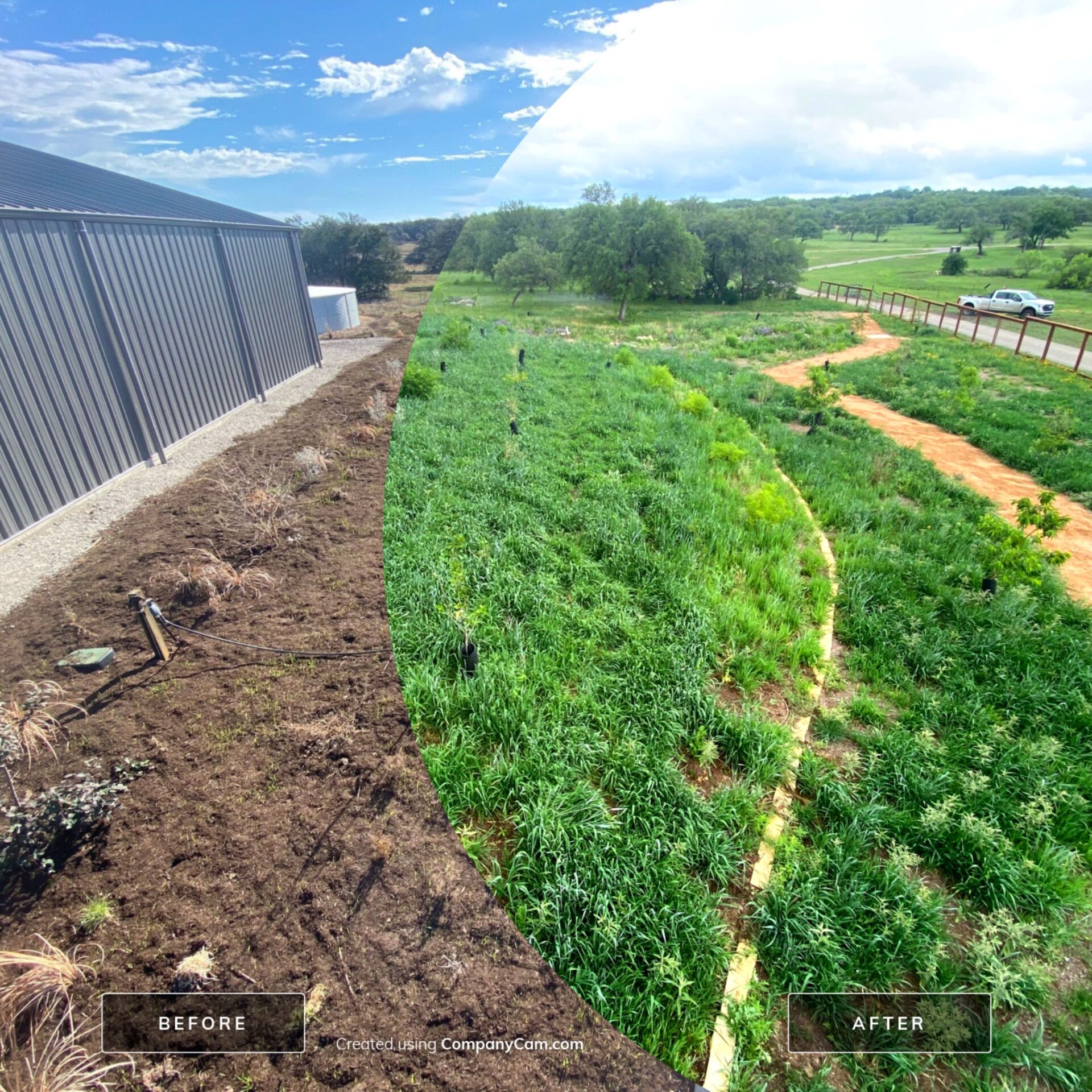 Central Texas Food Forest + Biodiversity Plantings Tour