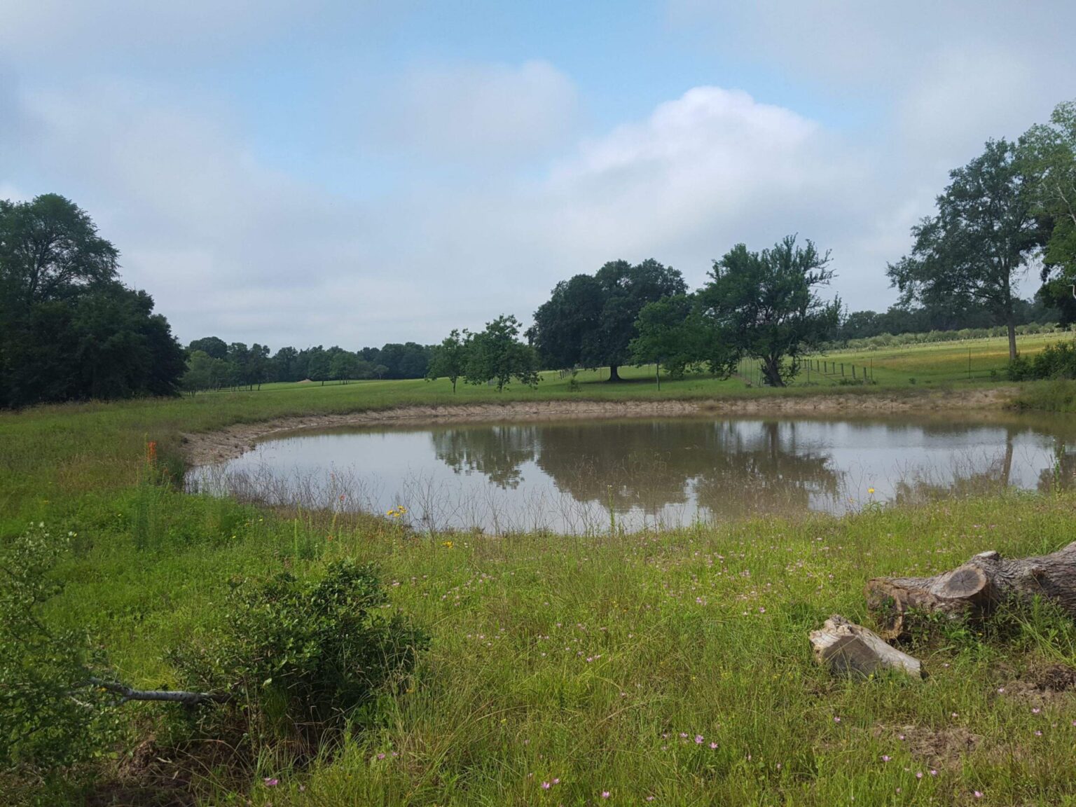Racing the rain to build this pond! - Symbiosis LLC