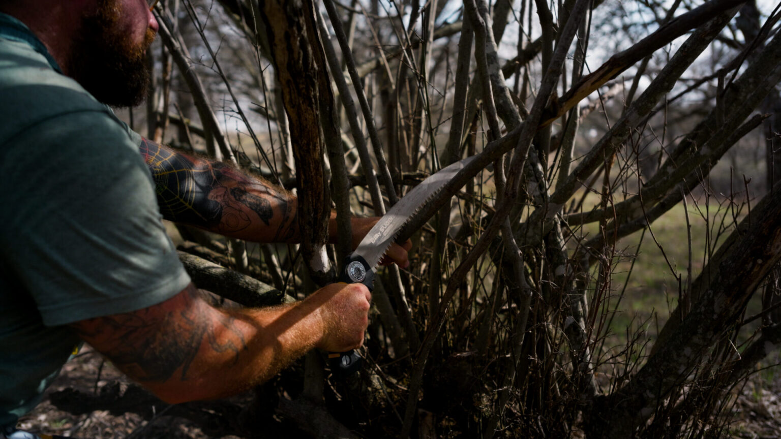 Removing limbs and branches that will cause interference issues down the line
