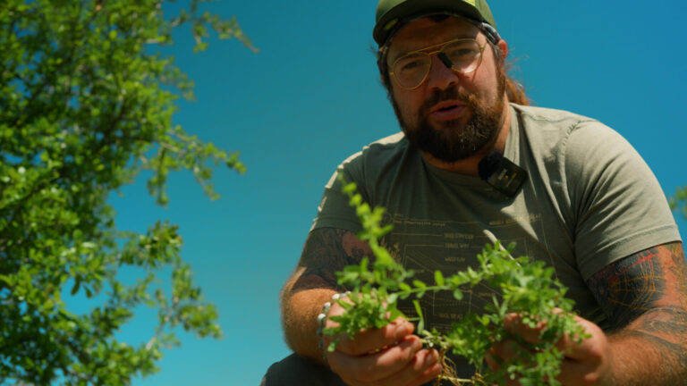 Person holding a freshly pulled weed in a Central Texas landscape, illustrating selective weeding.