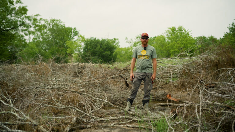 Beaver Dam Analogues
