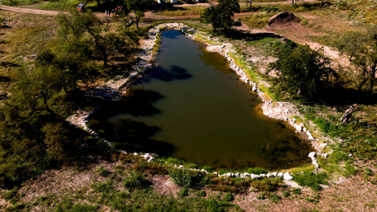 A newly constructed Central Texas pond designed by Symbiosis TX showcasing ecological water retention and regenerative land management.