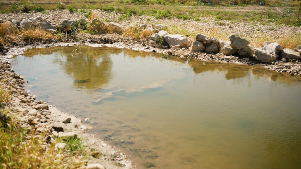 An example of rock armoring on a central Texas pond built by Symbiosis TX.