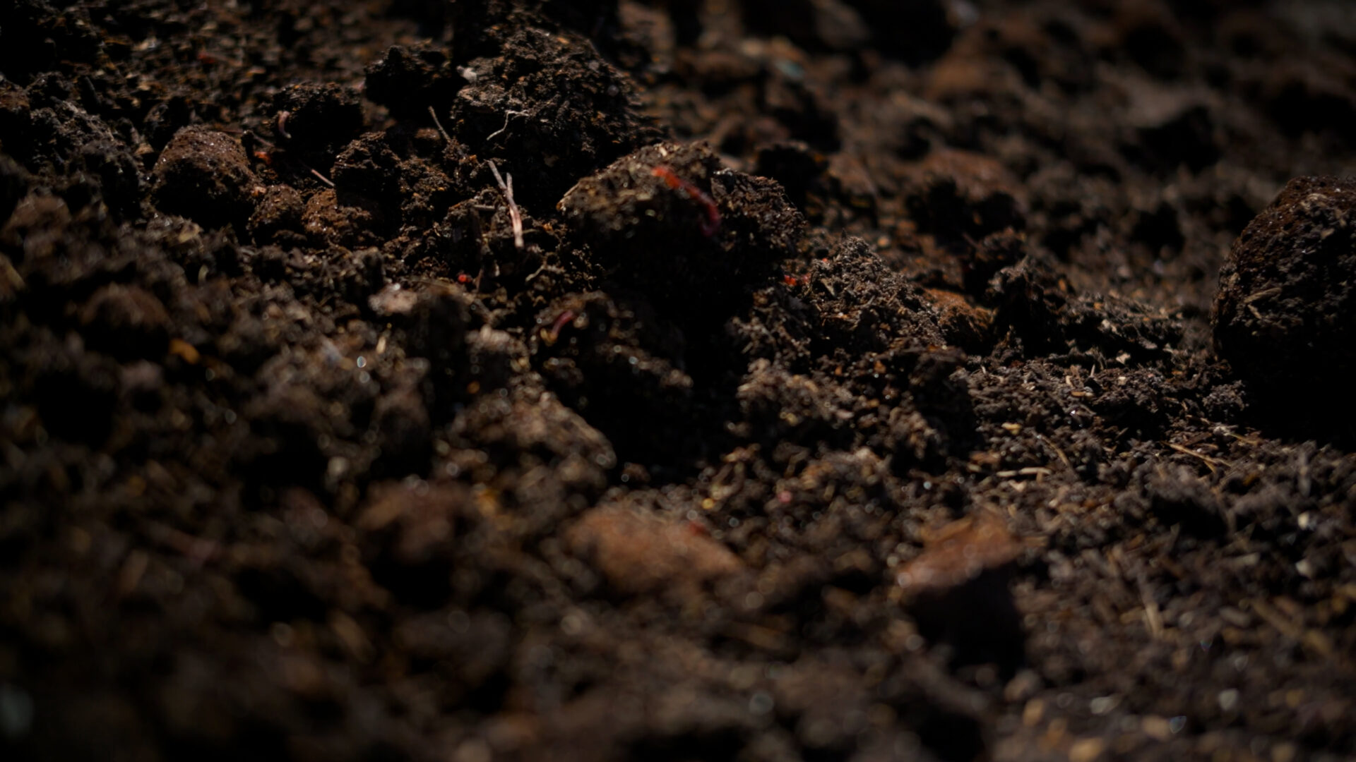 Healthy soil rich in organic matter and soil biology