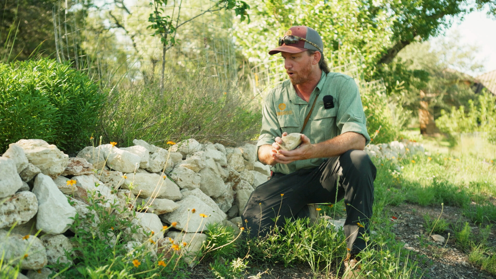 Landscape designer kneeling beside a dry stack limestone retaining wall holding a piece of porous Hill Country limestone.