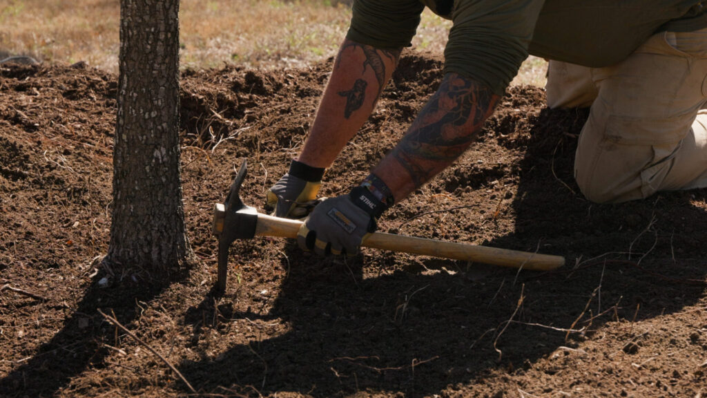 Hand tools used to expose buried root collar