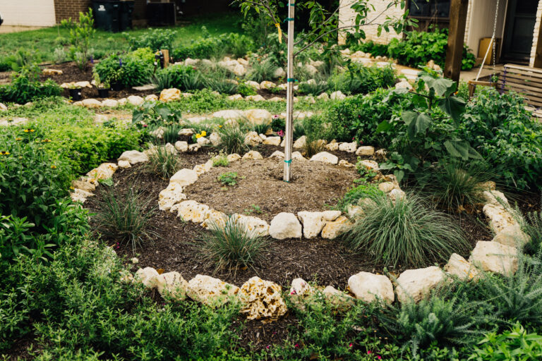 Elevated view of an Austin front yard pollinator garden showing the full tiered design — concentric limestone riprap planting rings, a circular decomposed granite pathway, young fruit trees, and a custom arbor with swing visible at left, surrounded by neighborhood homes and street
