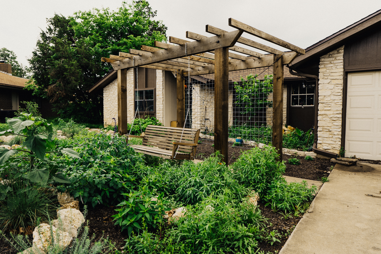 Custom wood arbor with hanging swing in an Austin Texas front yard pollinator garden — passion vine beginning to climb the trellis structure, surrounded by dense native plantings including groundcover, flowering perennials, and young trees, with the residential home facade visible behind
