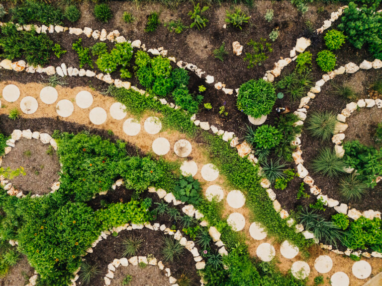 Ground-level view through a dense Central Texas native pollinator garden showing lush frogfruit groundcover in the foreground, salvias and yellow flowering perennials in mid-ground, and a hose-end timer on a wooden post visible among the plantings against a limestone residential home