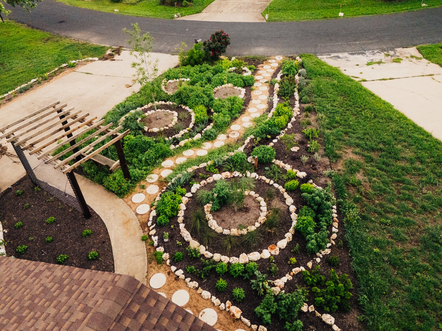 Overhead aerial photograph of a Central Texas pollinator garden showing the concentric ring design structure — limestone riprap borders define circular planting beds with diverse native species including grasses, flowering perennials, succulents, and groundcover across a residential front yard in Austin