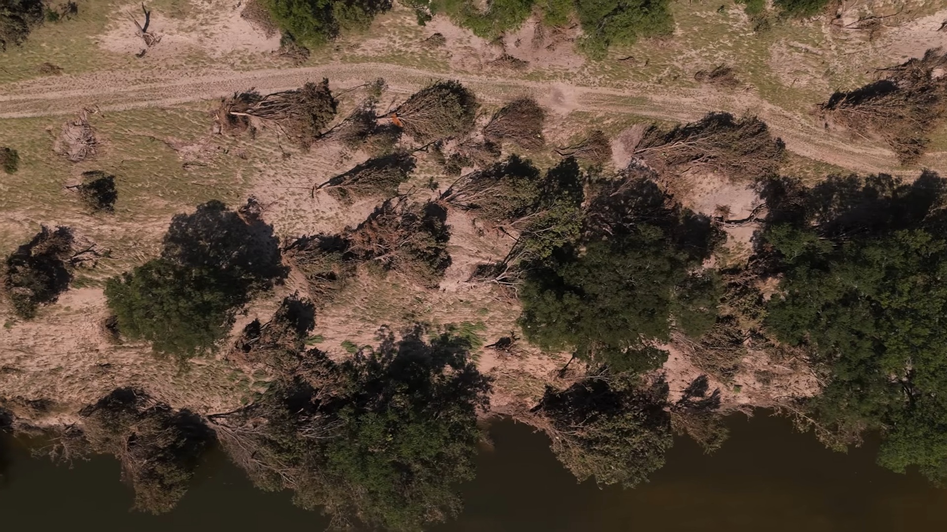 Aerial view of a Central Texas riverbank scoured by floodwater, with windrows of debris left across the land after the Pedernales River rose 34 feet.